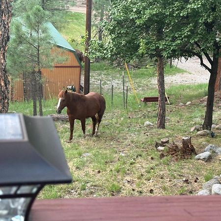 Gonzales Cozy Little Bear Cabin Ruidoso Exteriör bild