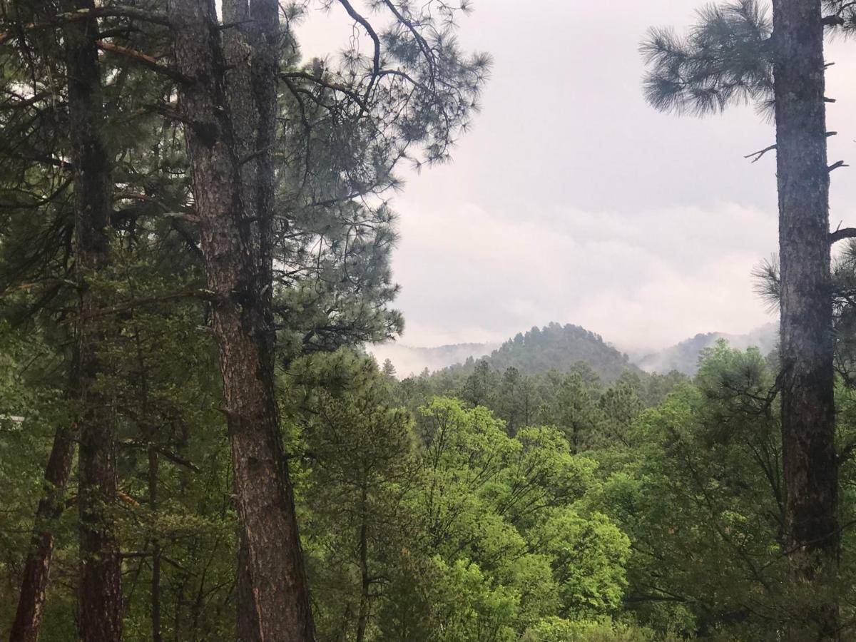 Gonzales Cozy Little Bear Cabin Ruidoso Exteriör bild