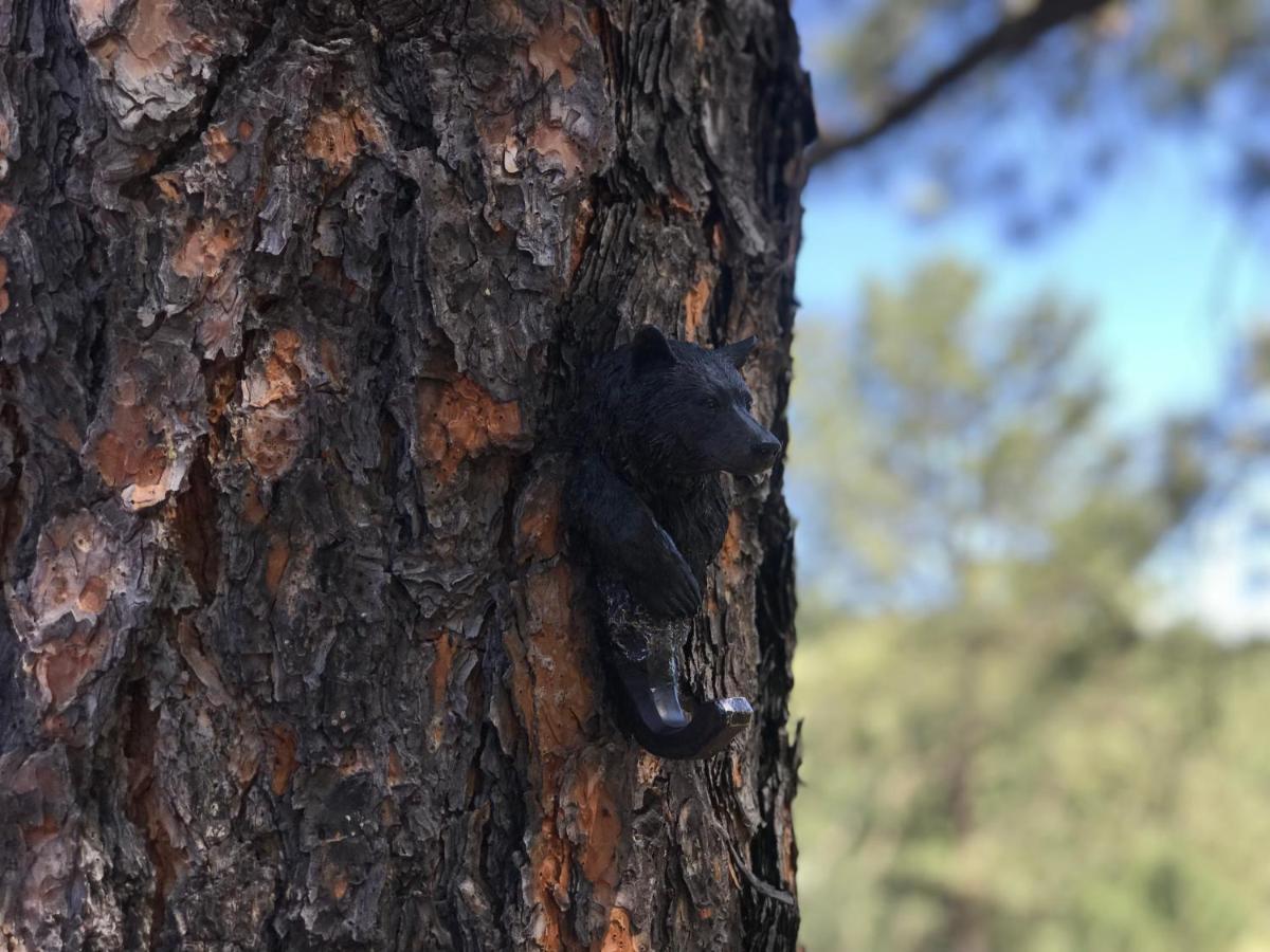 Gonzales Cozy Little Bear Cabin Ruidoso Exteriör bild